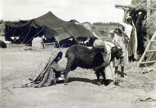 МАЭ № 4060-111 (2)