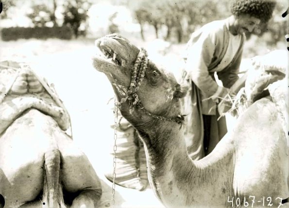 МАЭ № 4060-127 (1)