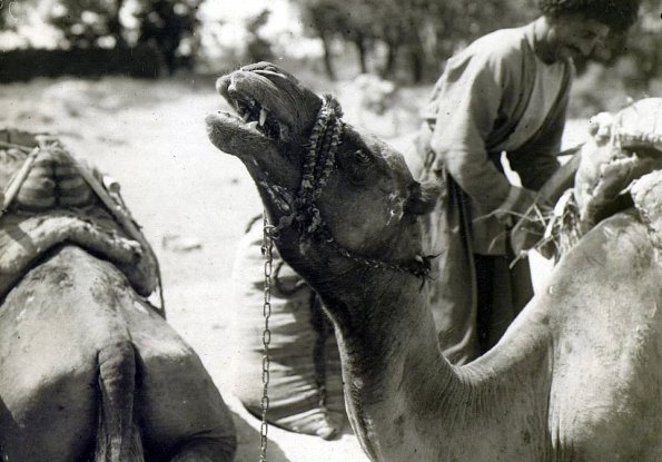 МАЭ № 4060-127 (2)