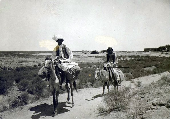 МАЭ № 4060-131-1 (2)