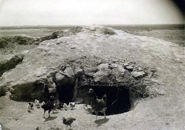 МАЭ № 4060-134 (2)