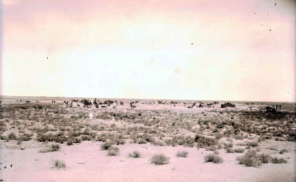 МАЭ № 4060-136 (1)