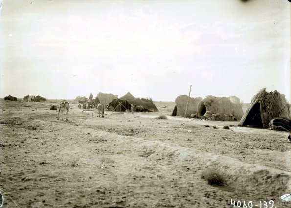 МАЭ № 4060-139 (1)