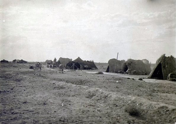 МАЭ № 4060-139 (2)