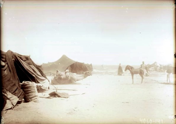 МАЭ № 4060-141-1 (1)