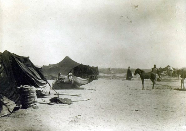 МАЭ № 4060-141-1 (2)