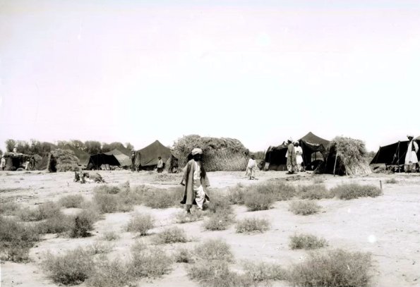 МАЭ № 4060-142-1 (1)