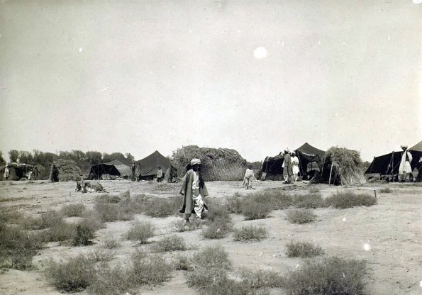 МАЭ № 4060-142-1 (2)