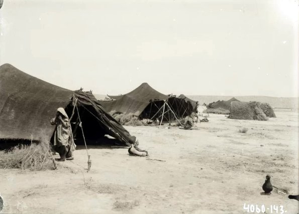 МАЭ № 4060-143-1 (1)