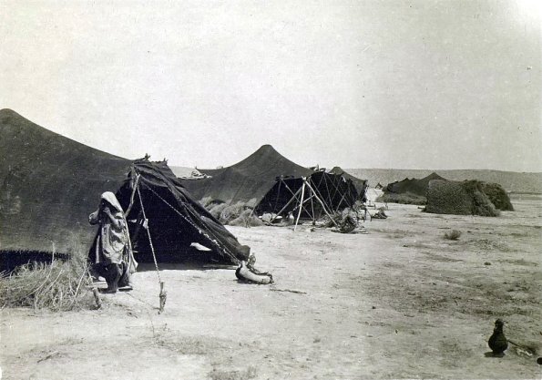 МАЭ № 4060-143-1 (2)