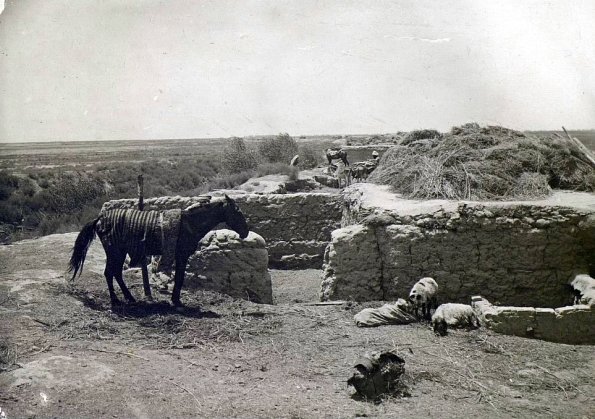 МАЭ № 4060-149 (2)