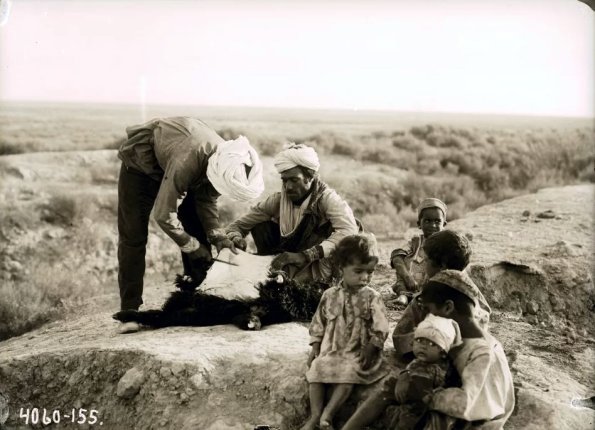 МАЭ № 4060-155 (1)