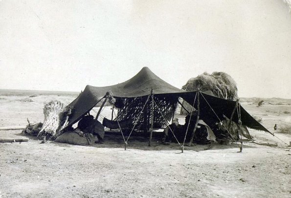 МАЭ № 4060-159 (2)