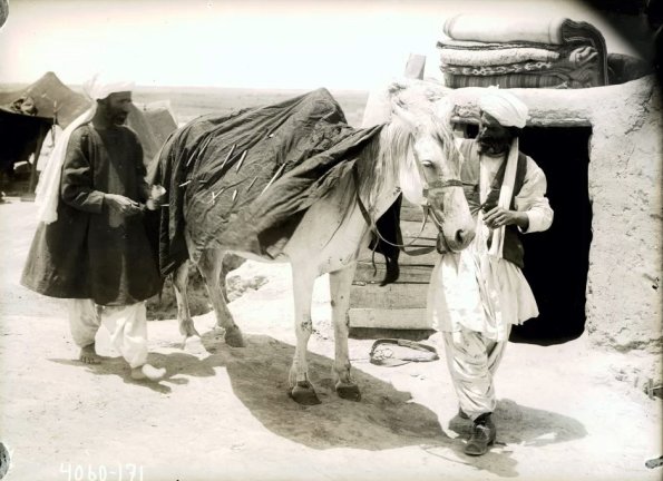 МАЭ № 4060-171 (1)