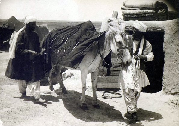 МАЭ № 4060-171 (2)