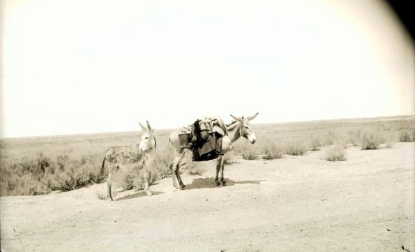 МАЭ № 4060-181 (1)