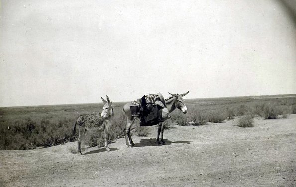 МАЭ № 4060-181 (2)