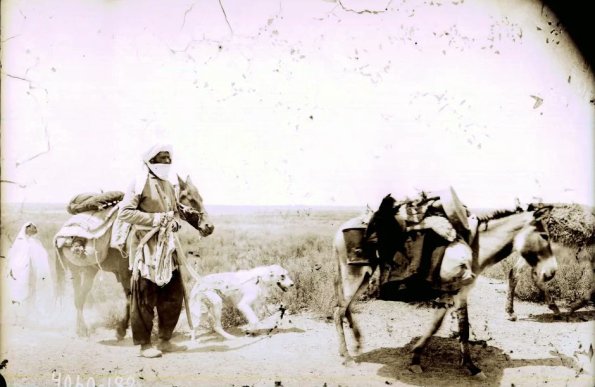 МАЭ № 4060-182 (1)