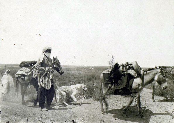 МАЭ № 4060-182 (2)