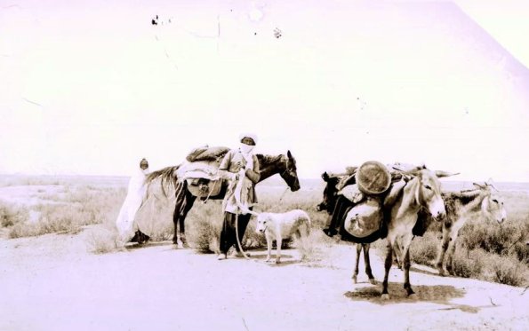 МАЭ № 4060-183 (1)