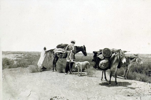 МАЭ № 4060-183 (2)