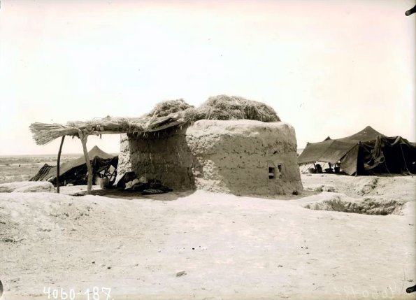 МАЭ № 4060-187 (1)