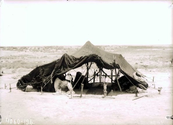 МАЭ № 4060-196 (1)