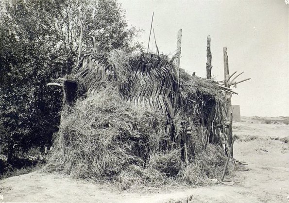 МАЭ № 4060-203 (2)