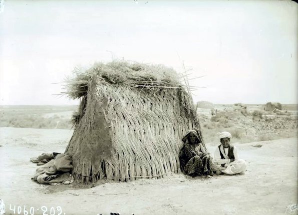 МАЭ № 4060-209 (1)