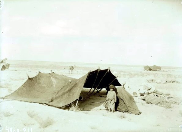 МАЭ № 4060-211 (1)