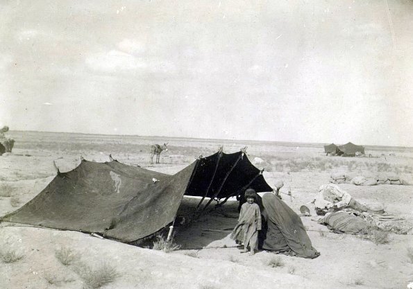 МАЭ № 4060-211 (2)