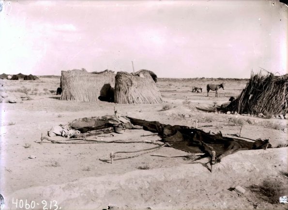 МАЭ № 4060-213 (1)