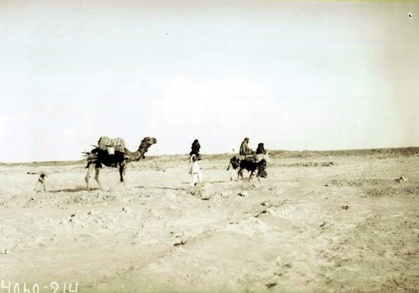 МАЭ № 4060-214 (1)