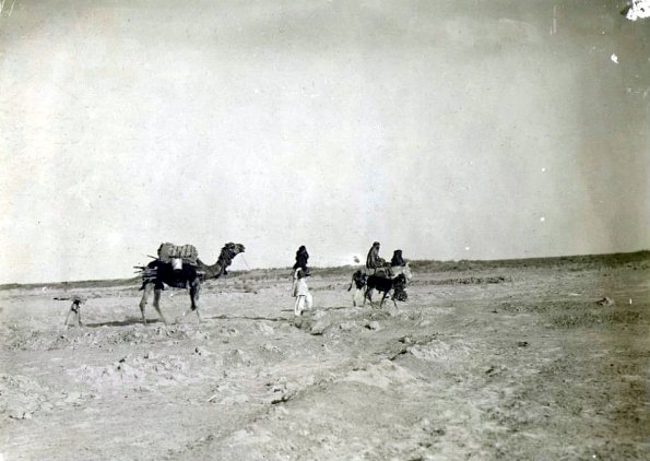 МАЭ № 4060-214 (2)