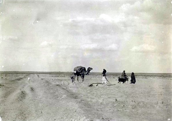 МАЭ № 4060-215 (2)