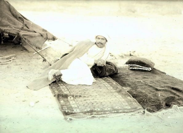 МАЭ № 4060-22 (1)