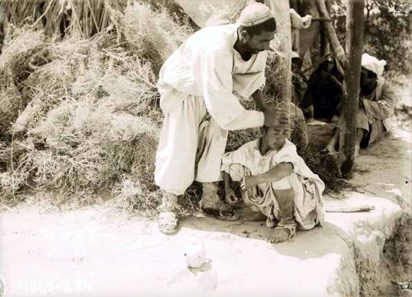 МАЭ № 4060-224 (1)