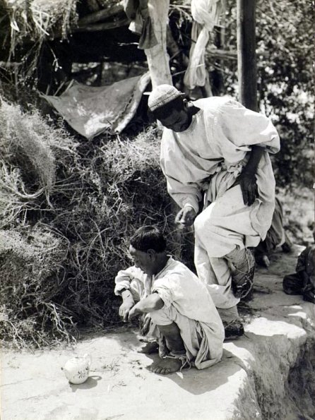 МАЭ № 4060-225 (2)