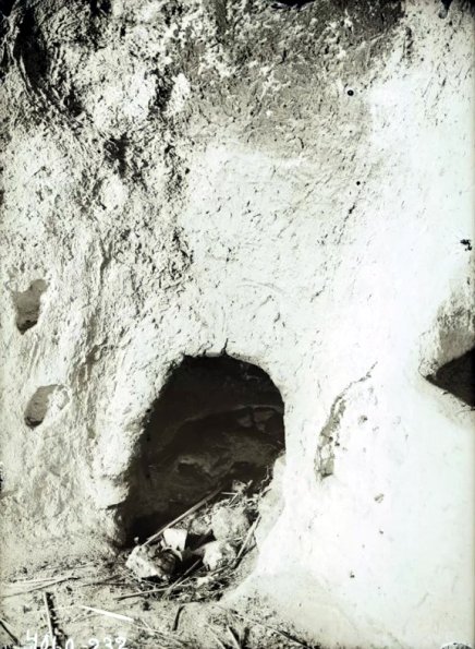 МАЭ № 4060-232 (1)