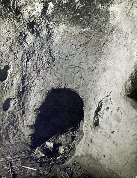 МАЭ № 4060-232 (2)