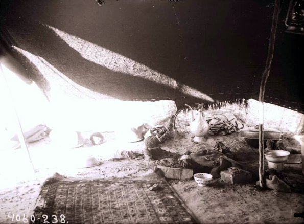 МАЭ № 4060-238 (1)