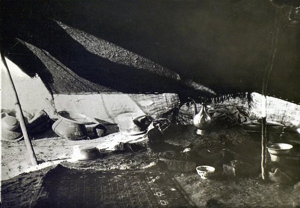 МАЭ № 4060-238 (2)