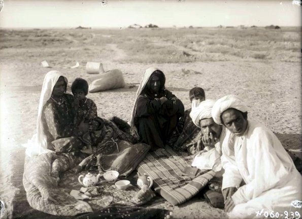 МАЭ № 4060-239 (1)