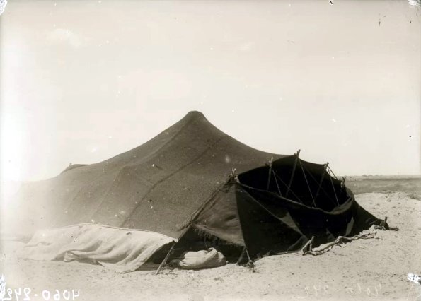 МАЭ № 4060-242 (1)