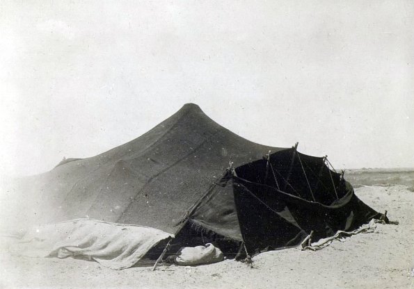 МАЭ № 4060-242 (2)