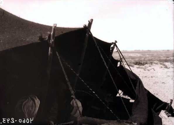 МАЭ № 4060-243 (1)