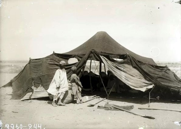 МАЭ № 4060-244 (1)