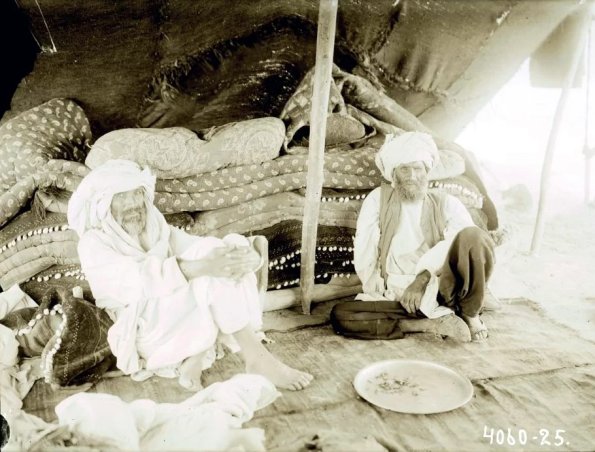 МАЭ № 4060-25 (1)