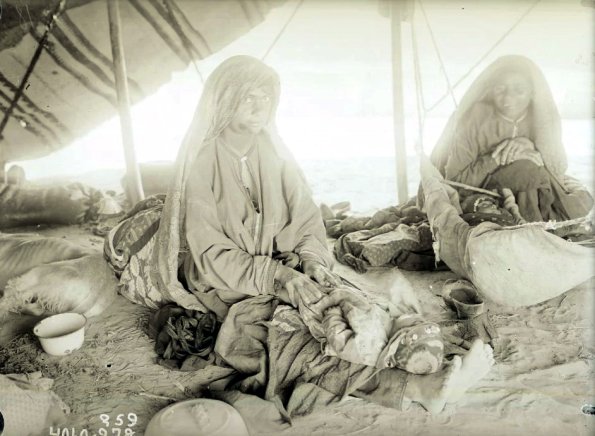 МАЭ № 4060-259 (1)