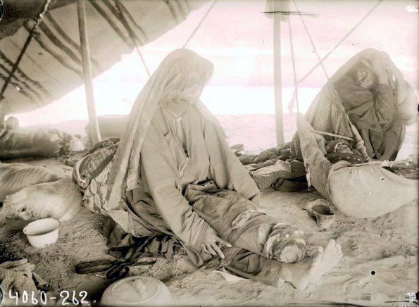 МАЭ № 4060-262 (1)